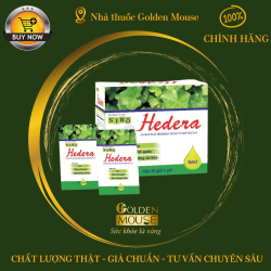 Siro Hedera Tipharco điều trị ho, viêm phế quản, viêm đường hô hấp (30 gói x 5ml)