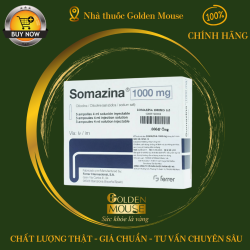 SOMAZINA 1000MG