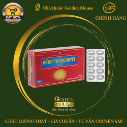 Thuốc Bổ Khí Thông Huyết BVP tăng cường lưu thông khí huyết đến não và các chi (3 vỉ x 10 viên)