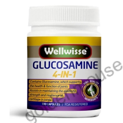 GLUCOSAMINE 4 IN 1 Wellwisse