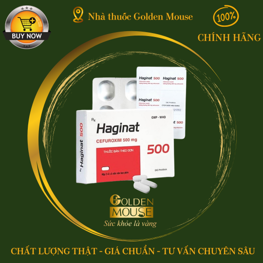 HAGINAT 500MG