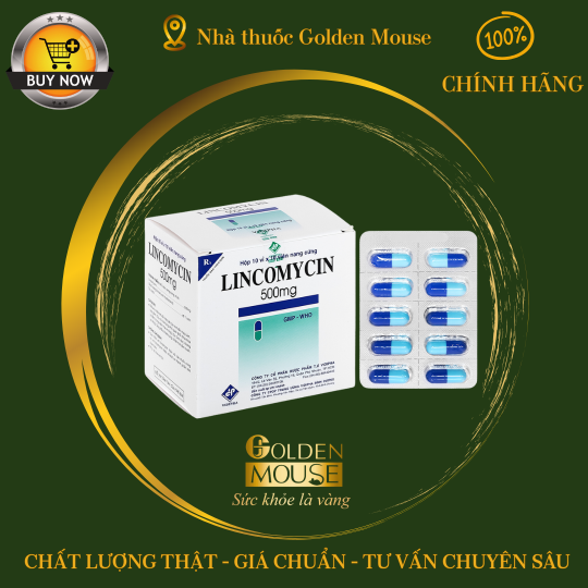 LINCOMYCIN VIDI 500MG