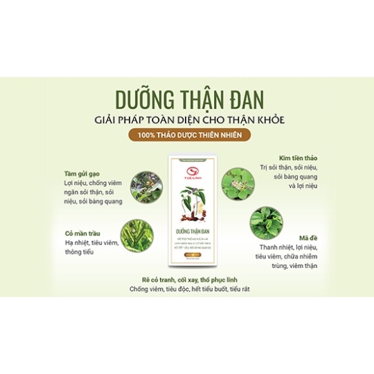 DƯỠNG THẬN ĐAN TUỆ LINH