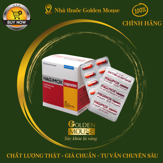 HAGIMOX 500MG