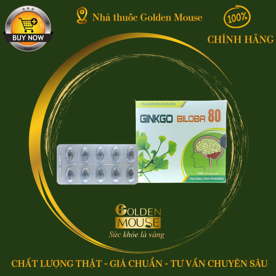 GINKO BILOBA 80MG
