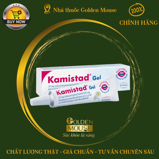 Gel bôi nhiệt miệng KAMISTAD