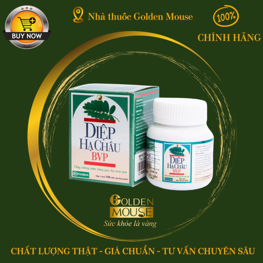 DIỆP HẠ CHÂU BVP