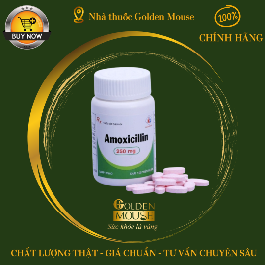 AMOXICILLIN DOMESCO 250MG