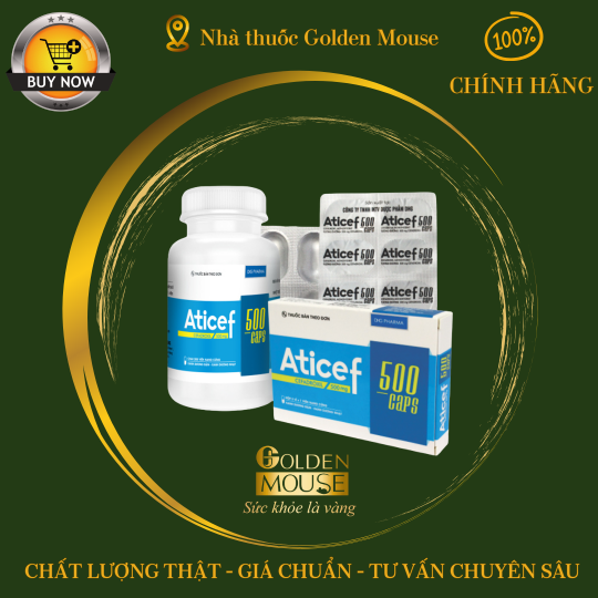 ATICEF 500MG