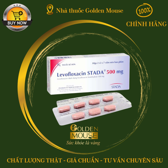 LEVOFLOXACIN STADA 500MG