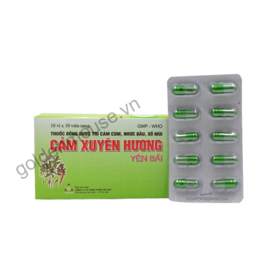 CẢM XUYÊN HƯƠNG YÊN BÁI