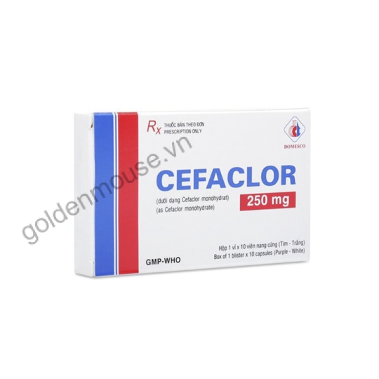 CEFACLOR DOMESCO 250MG (VIÊN)