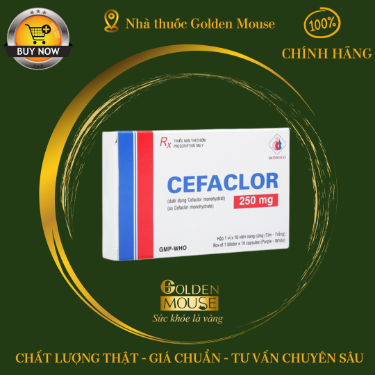 CEFACLOR DOMESCO 250MG (VIÊN)