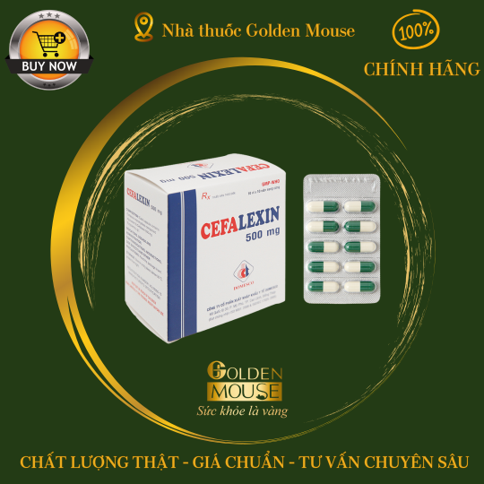 CEFALEXIN DMC 500MG