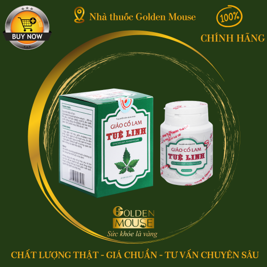 GIẢO CỔ LAM TUỆ LINH