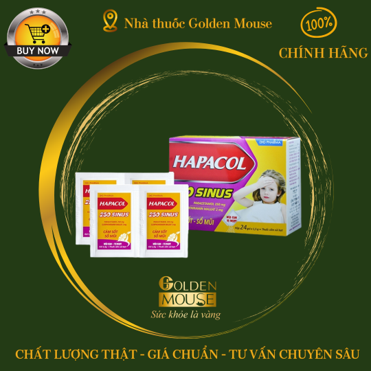 HAPACOL 250 SINUS