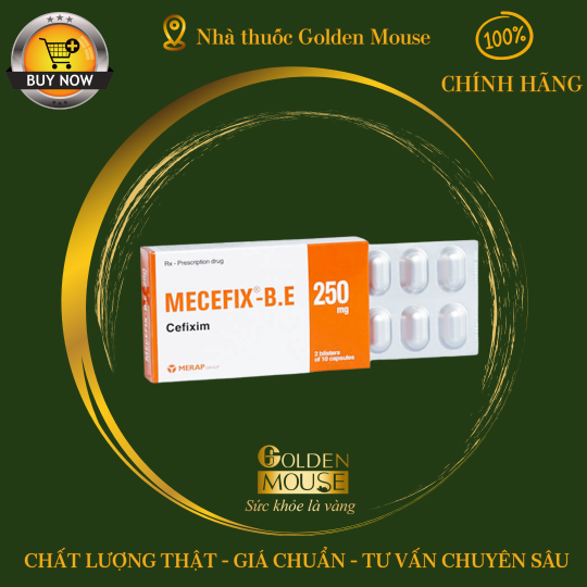 MECEFIX B.E 250MG