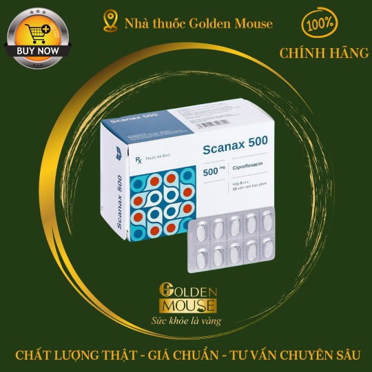 SCANAX 500
