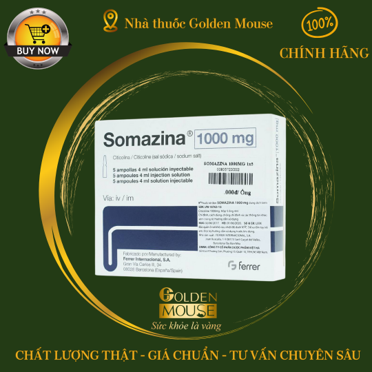 SOMAZINA 1000MG
