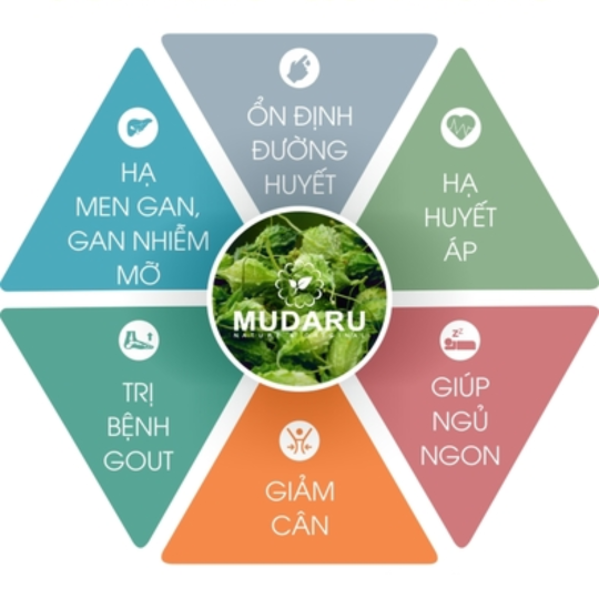 KHỔ QUA RỪNG MUDARU 90 VIÊN