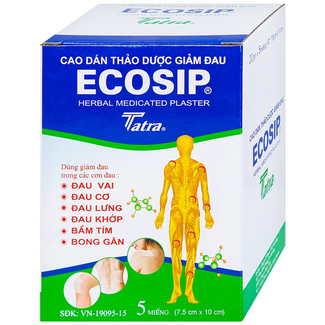ECOSIP PLASTER H/20G X 5M